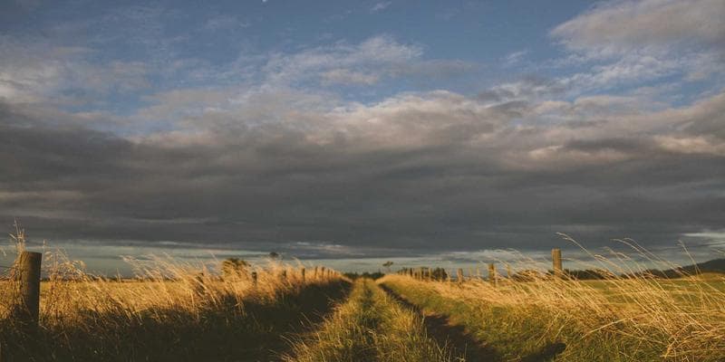 Masa Depan Blogging di Era Generative AI: Ancaman atau Peluang?